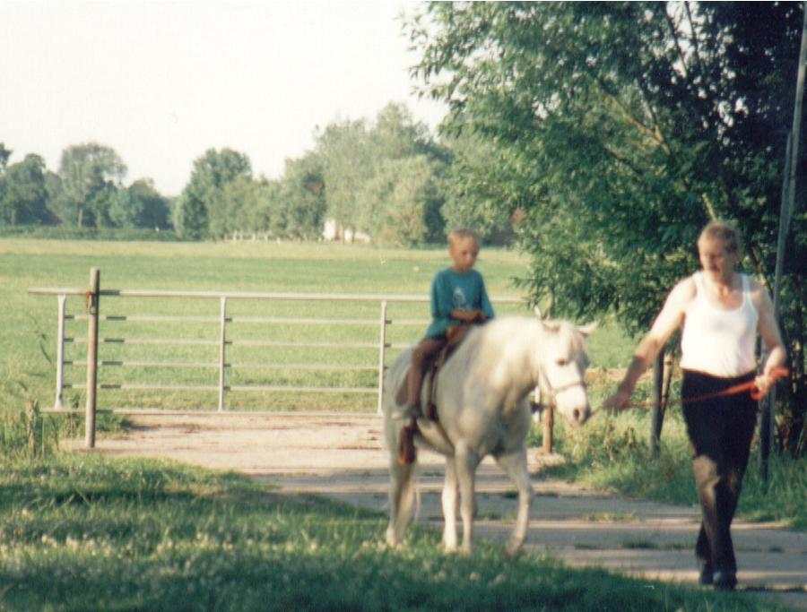 Ponys reiten oder streicheln, ein Spaß für die ganze Familie